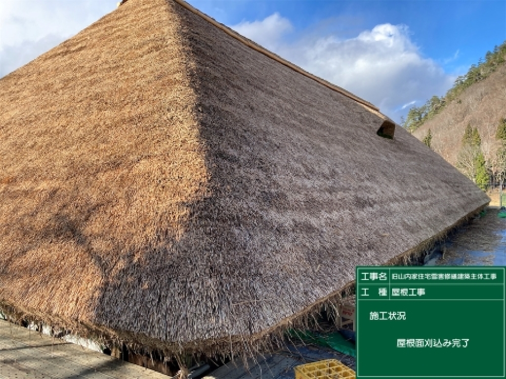 屋根面刈込み完了